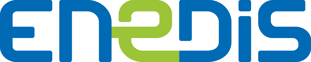 Logo enedis couleur