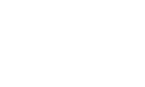 logo valophis blanc1